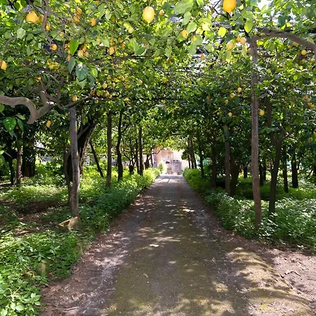 Casa Melo סורנטו